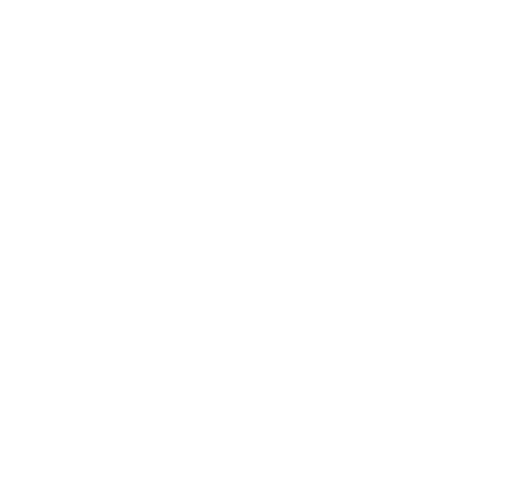 Napoleon casino logo